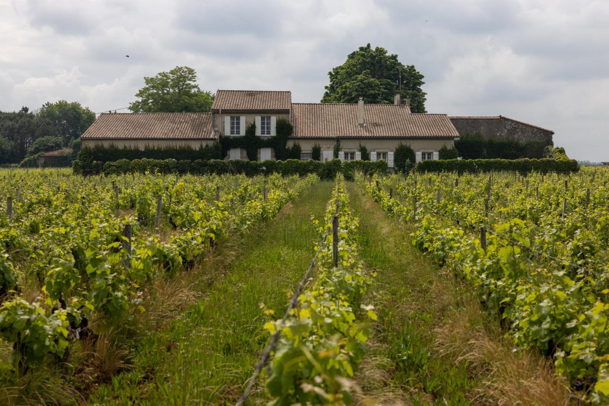 לינה וארוחת בוקר Barsac  Le Jardin Dans Les Vignes מראה חיצוני תמונה